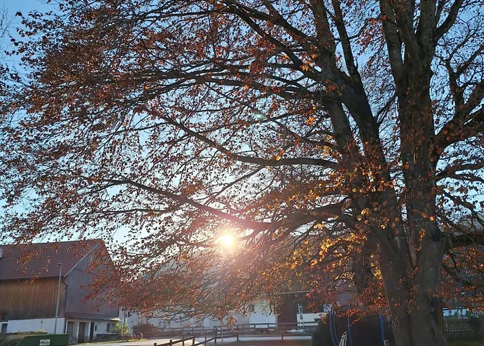 Ferienmaisonette Purpurbuche * Reutte