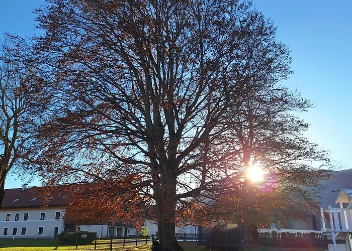 Ferienmaisonette Purpurbuche شقة