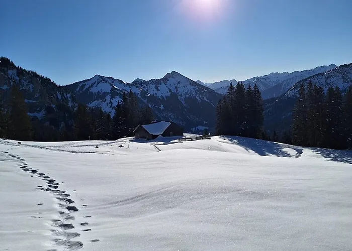 Ferienmaisonette Purpurbuche *