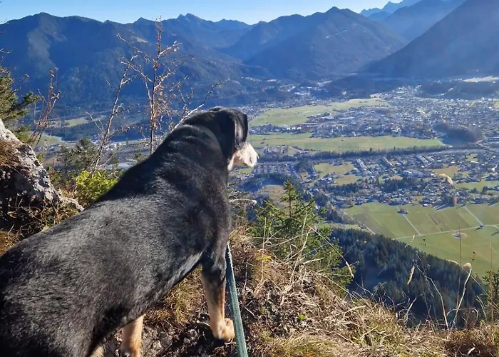 Ferienmaisonette Purpurbuche