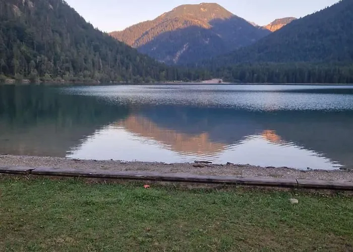 Ferienmaisonette Purpurbuche *