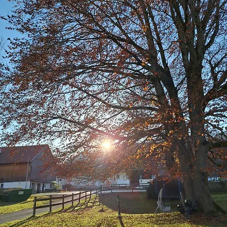 Ferienmaisonette Purpurbuche * רויטה