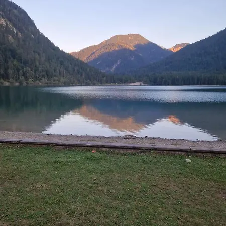 Ferienmaisonette Purpurbuche *